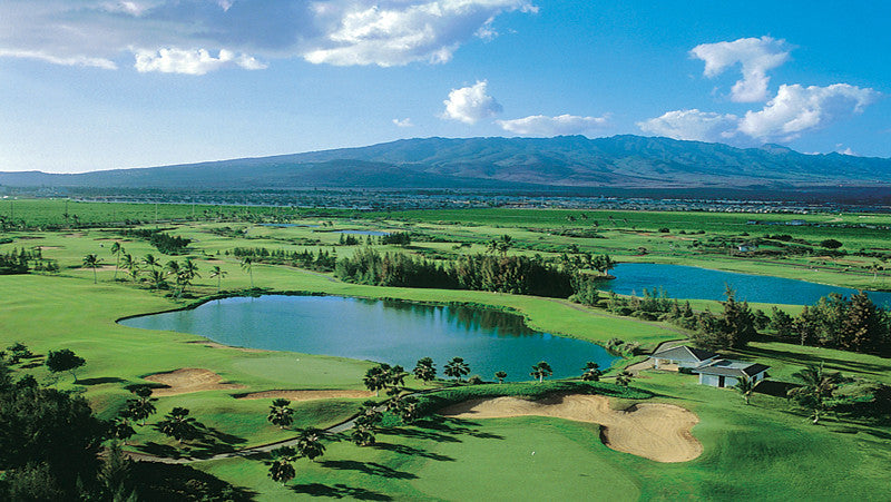 Hawaii Prince Golf Course aerial view