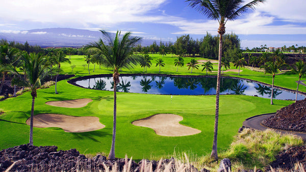 PING - ping パター　ワイコロア　waikoloa beach golf club PING - ping パター ワイコロア waikoloa beach golf club PING