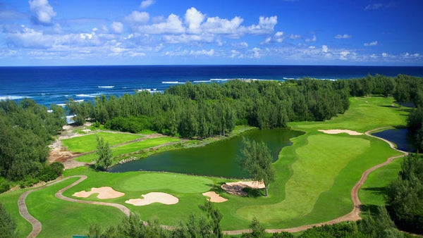 Turtle Bay Palmer タートル・ベイ・パーマー - Hawaii Tee Times