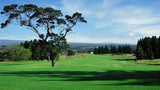 Volcano Golf & Country Club fairway