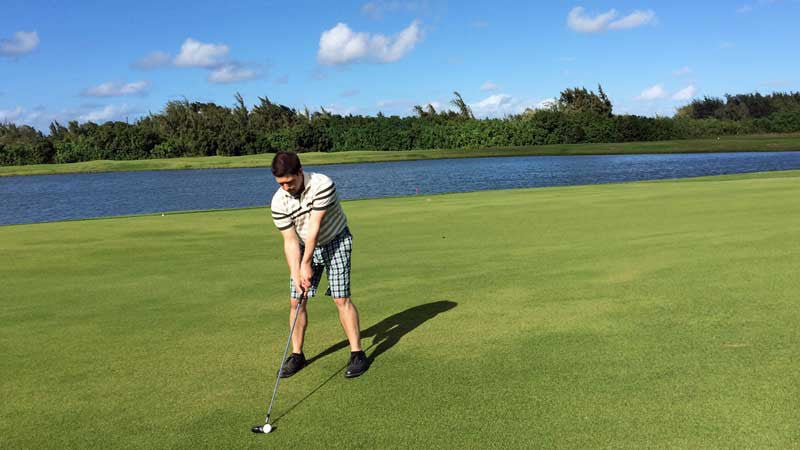 Fairway Turtle Bay Palmer Course