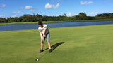 Fairway Turtle Bay Palmer Course