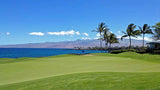 Mauna Lani South 7th green