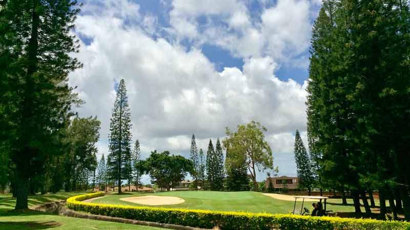 Mililani Golf Club ft | ミリラニ ゴルフ クラブft