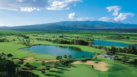 Hawaii Prince Golf Course aerial view 
