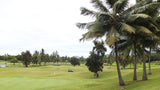 Bay View Golf Course greens 