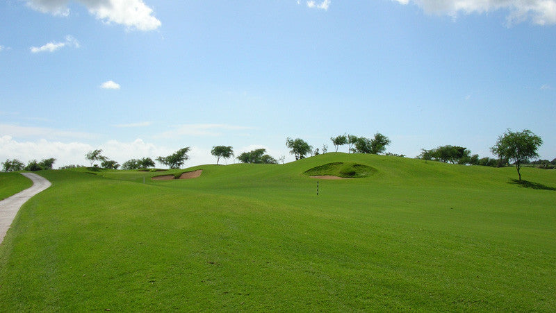 Coral Creek Golf Course fairway