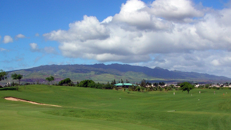 Coral Creek Golf Course green