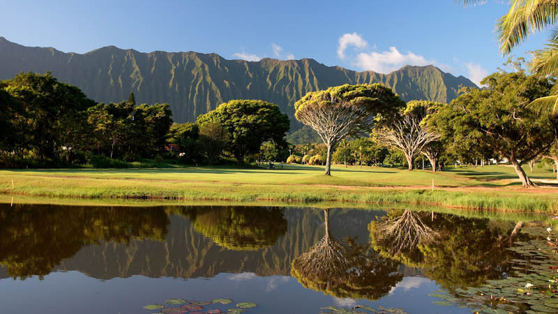 Olomana Golf Links on a sunny late afternoon