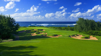 Turtle Bay Resort Palmer Ocean View