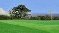 Volcano Golf & Country Club Green