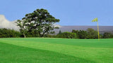 Volcano Golf & Country Club Green