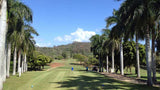 The 10th tee Olomana with beautiful palms to hit through