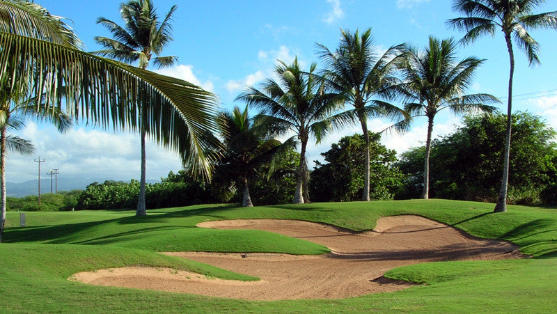 Hawaii Prince Golf Club  with lots of incredible palms
