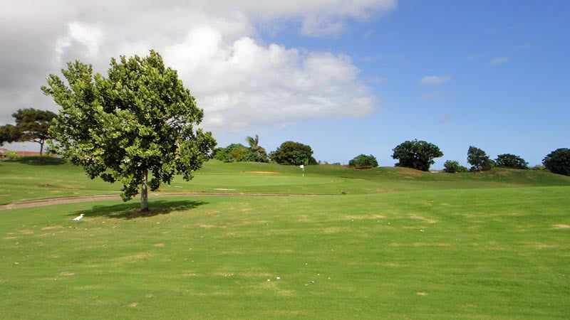 Puakea Golf Course approach shot