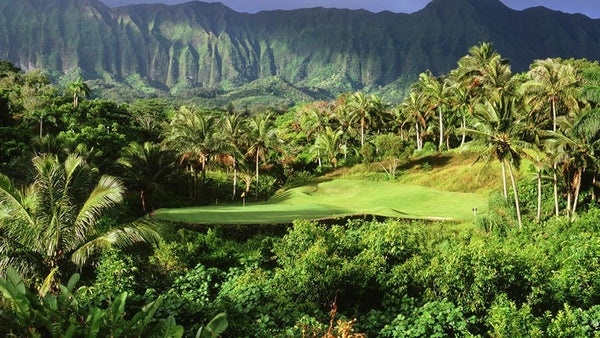 Royal Hawaiian Golf Club | ロイヤルハワイアンゴルフクラブ