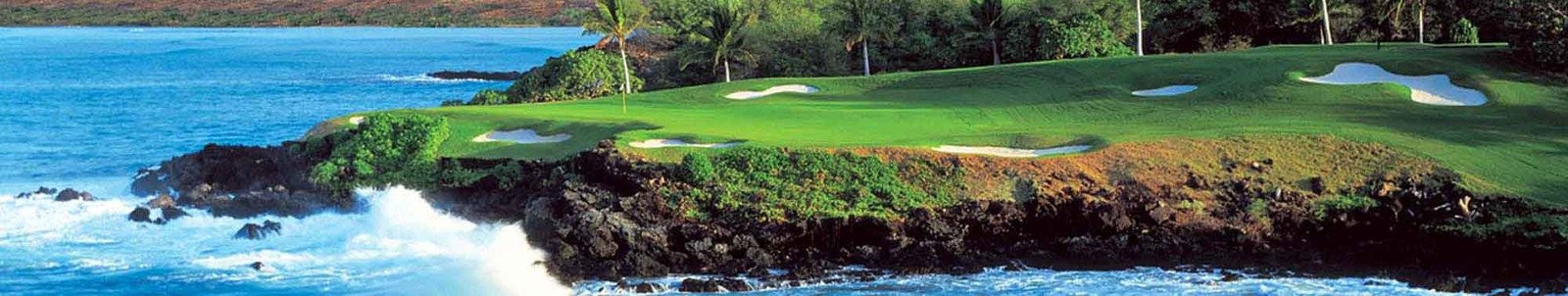 BIG ISLAND GOLF TEE TIMES