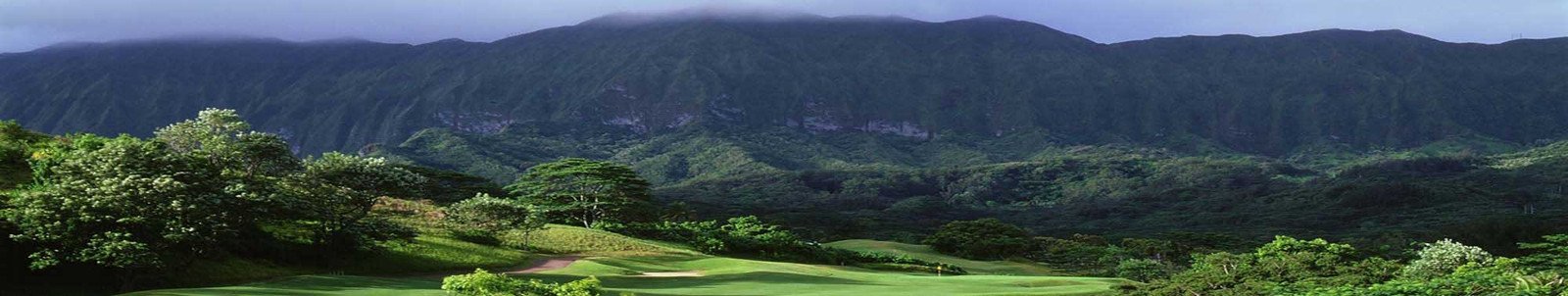 OAHU GOLF TEE TIMES